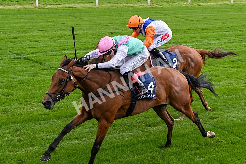 130526-Race 5-Legacy Link-0319 - Race 5 4.05pm Tattersalls Musidora Stakes