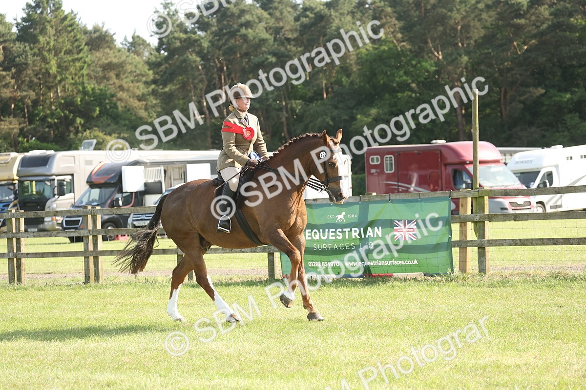 SBM_10288 - Class 33-38 - SSADL RIHS Qualifiers