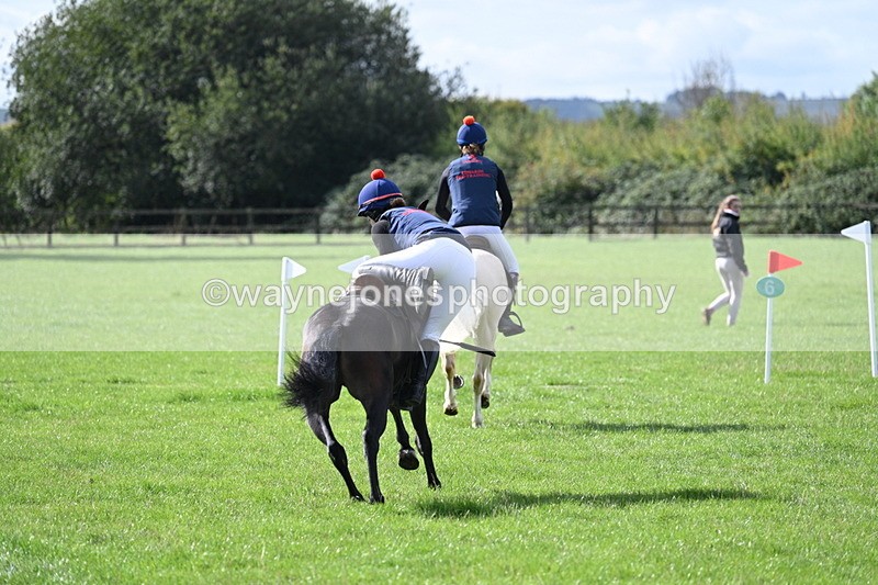 WJ7_8516 - 60cm Pairs