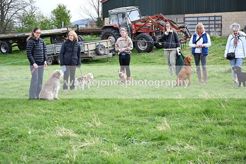 WJ6_8044 - Class 2 Best Pedigree