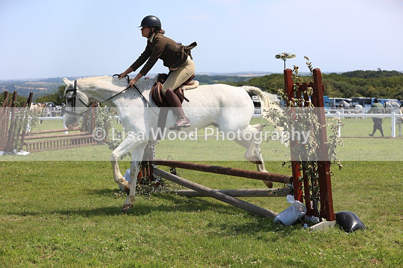 JPP_2687 - Class 21: Working Hunter 60cm