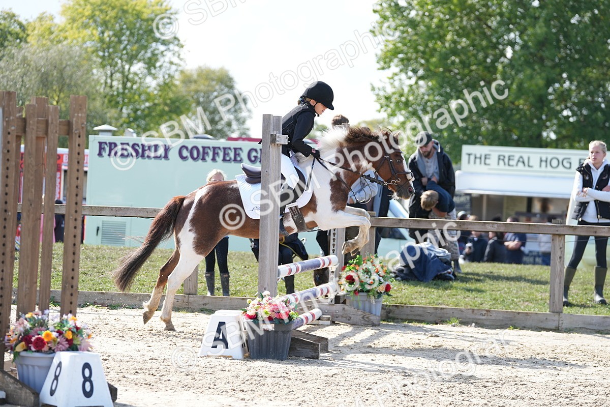 SBM_46583 - J7 - Junior Pony 60cm Championship