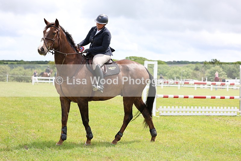 3E7A7157 - Class 12: Senior Foxhunter/1.20 open