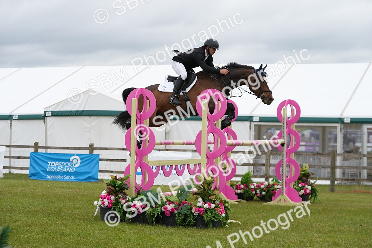 SBM_03275 - Class 201 - British Horse Feeds Speedi Beet Horse of the Year Show Grade  C