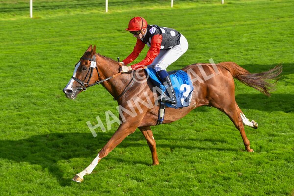 yr05092021r5-43 - Race 5 4.20pm Little Green Rascals Children's Nurseries Stakes