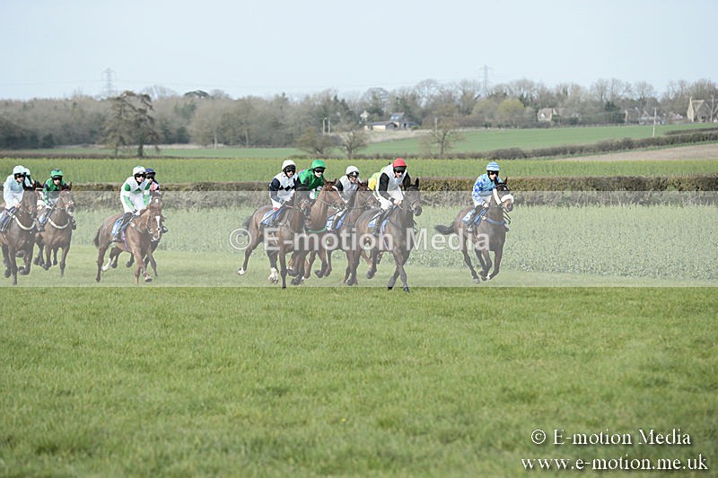 PtP 230319 408 - VWH Hunt Siddington Point-to-Point Racing 23/03/19