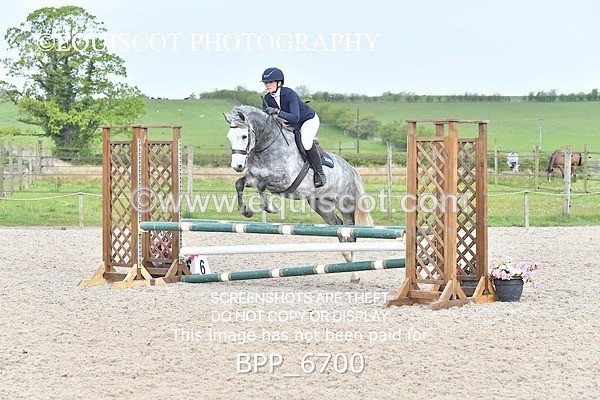 BPP_6700 - CLASS 2 FRI Club/ Unaffiliated 80cms Open