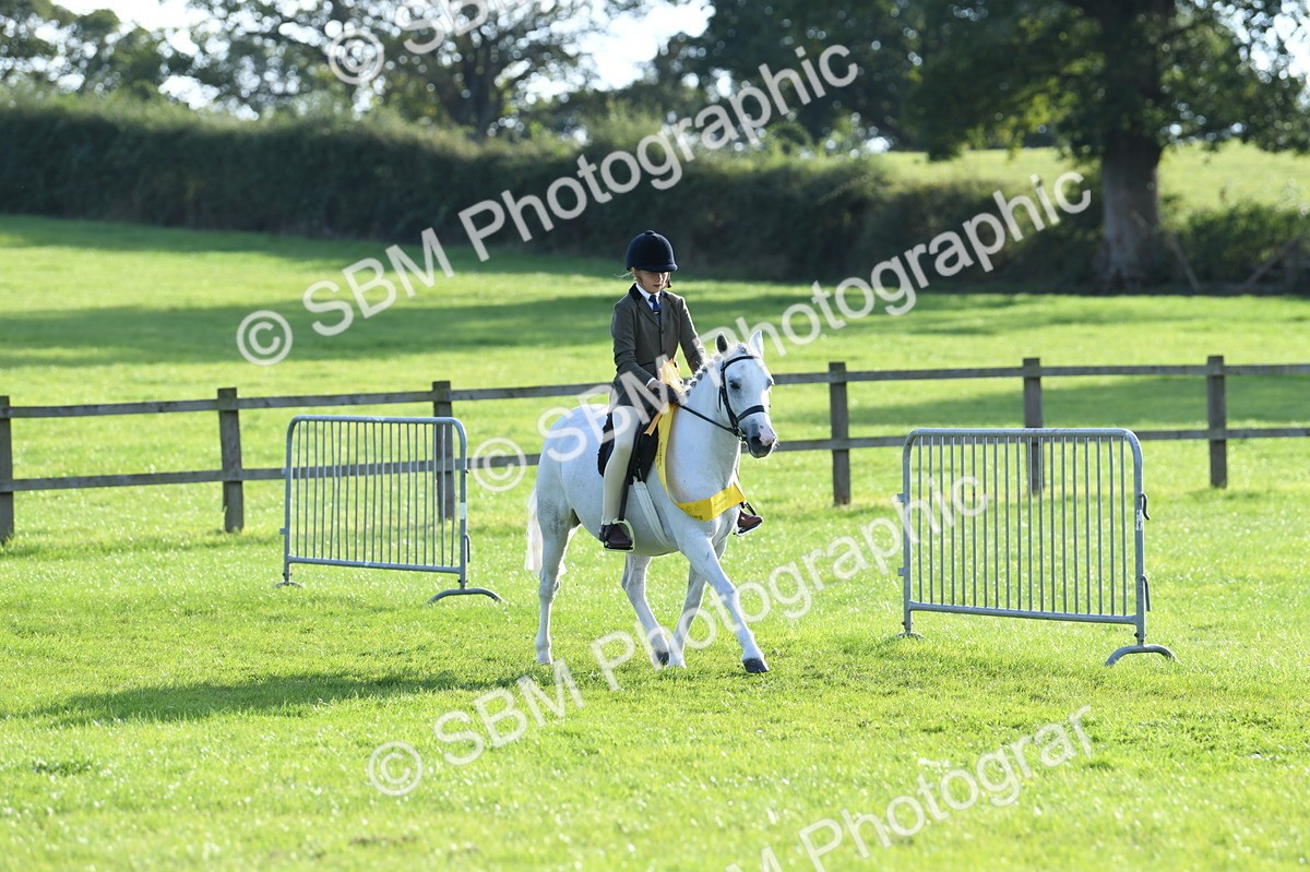 SBM_52456 - S22 - 1st Ridden Show & Show Hunter Pony