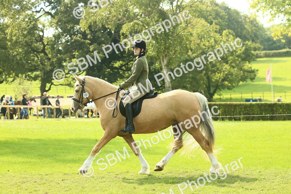 SBM_62654 - S63 - Other Coloured Horse Ridden