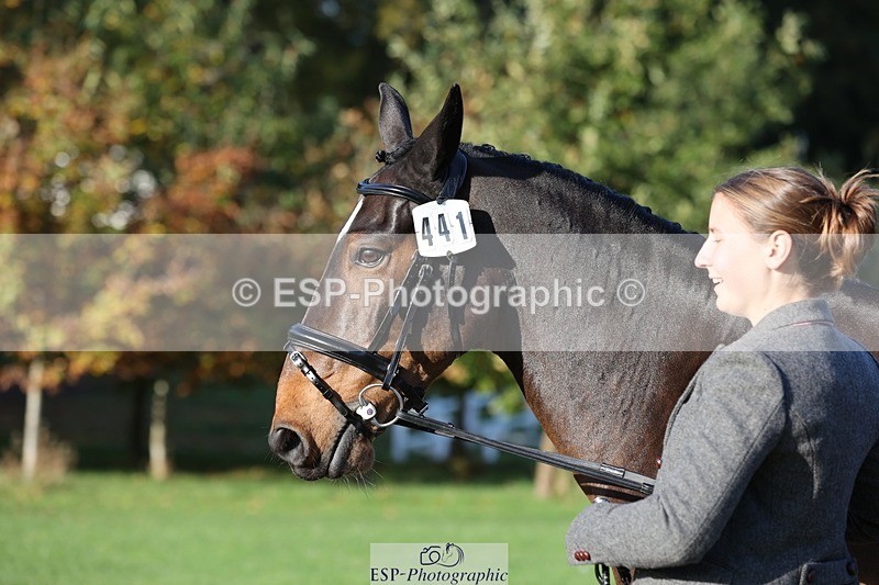 241027-093855-15418 - 441-Molly.Swain-SOCKS