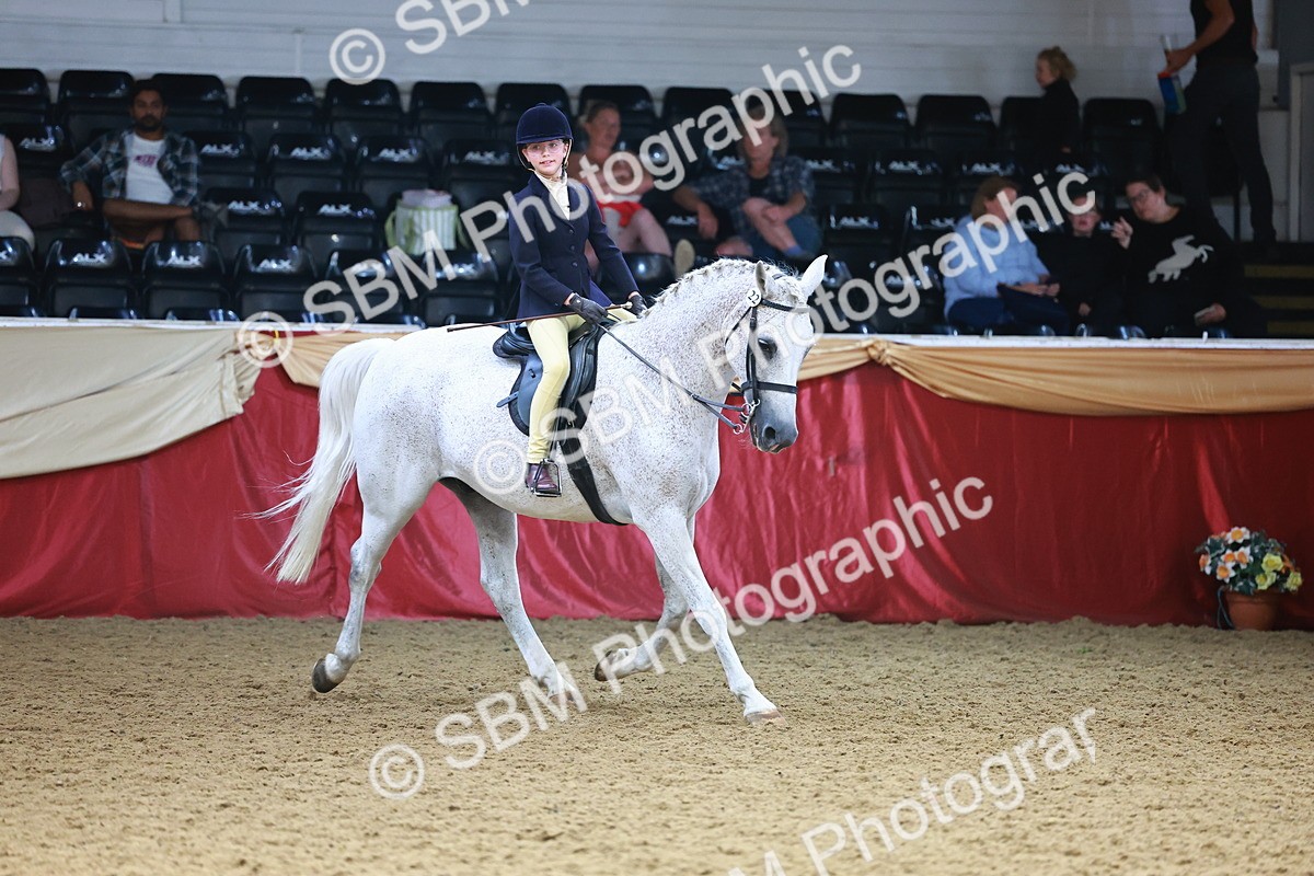 SBM_24047 - Class 905 - Supreme Final - Ridden Veteran