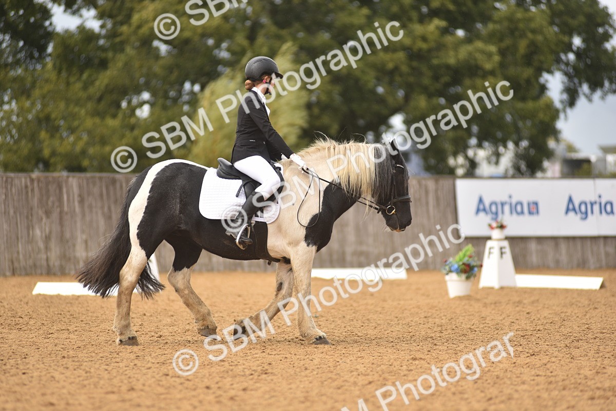SBM_42537 - D22 - Junior Championship Intro 3
