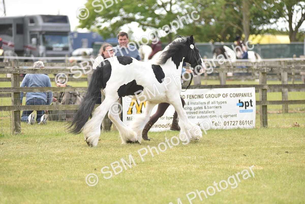 SBM_16039 - Class 117-122 - SSADL RIHS Qualifier