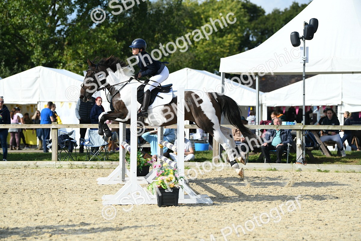 SBM_61628 - j25 - Junior Horse 80cm Championship