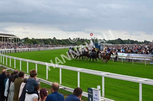yr04092022r5-28 - Race 5 4.05pm Little Green Rascals Children's Nurseries Stakes