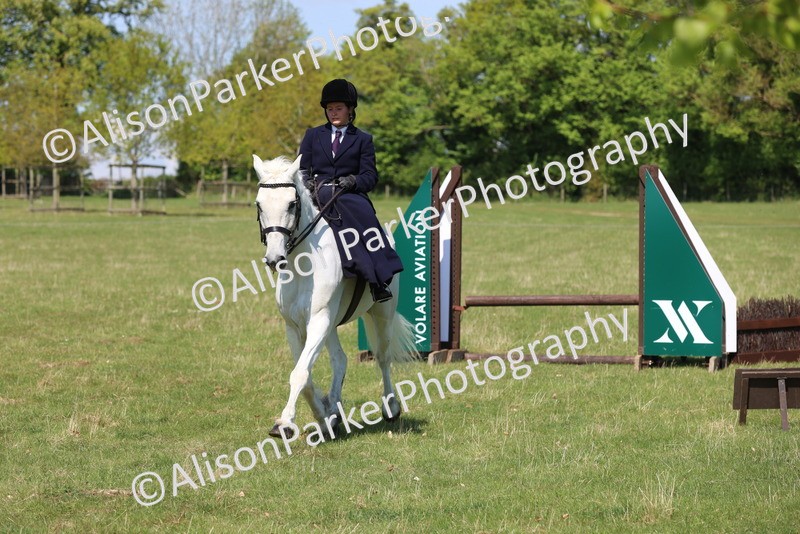 20250427-2550 - Class 20 - Working Hunter Ponies