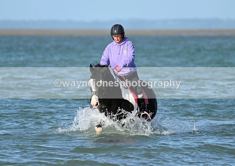 WJ7_3376 - Kellie & Churchill ... do Hayling Island 25-08-24