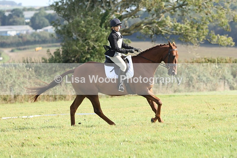 JPP_8048 - Class 2A: Trekenning Open: Dressage