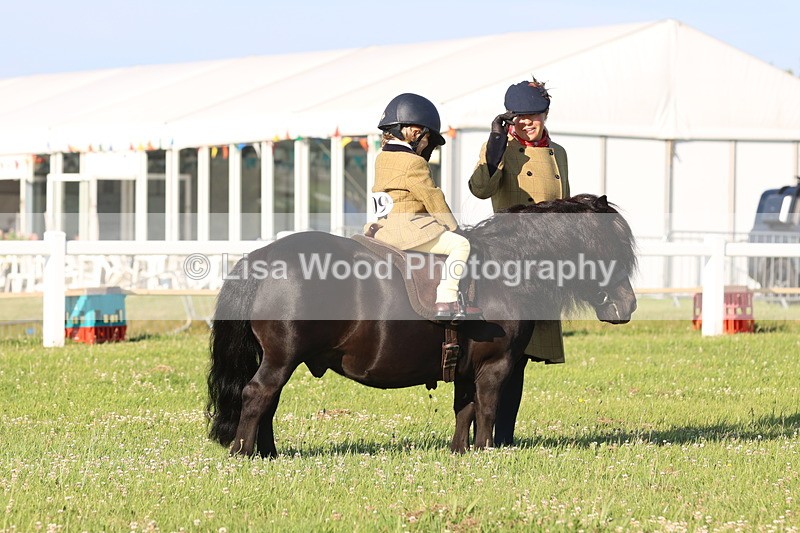 JPP_0682 - Class 16: Cornish Combination Leading Rein