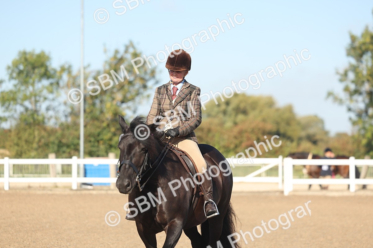 SBM_22127 - Class 801 - Ridden Veterans