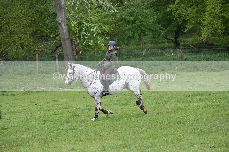 WJ6_2868 - A Camera