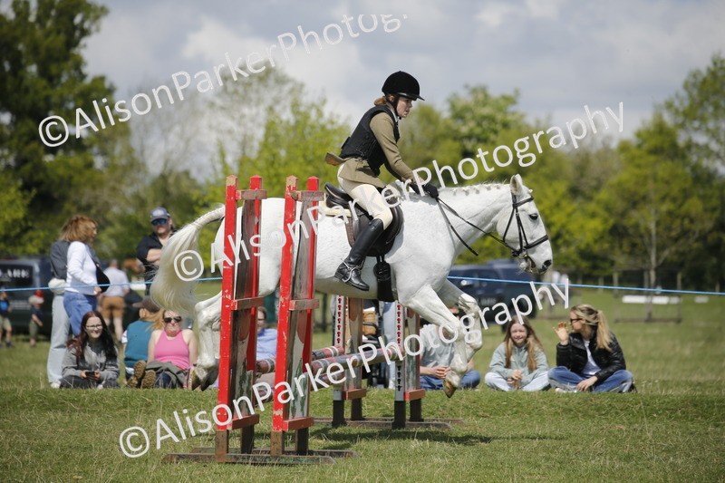 20250427-3639 - Class 14 - Absolute Novice 70cm