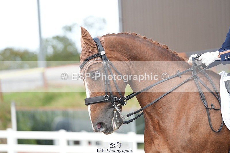 250907-161105-09792 - 126-Clair.ReedCatherston.Specific