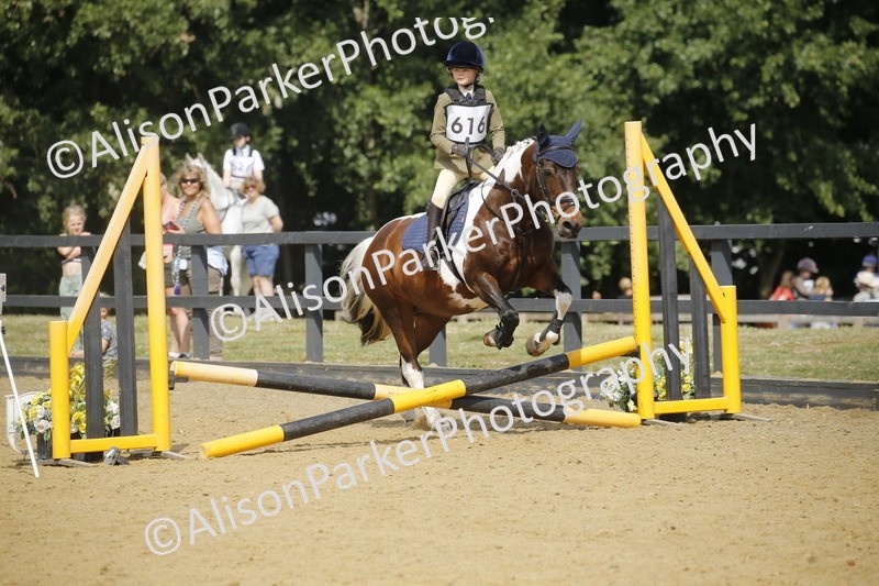 20250622-3778 - 50cm