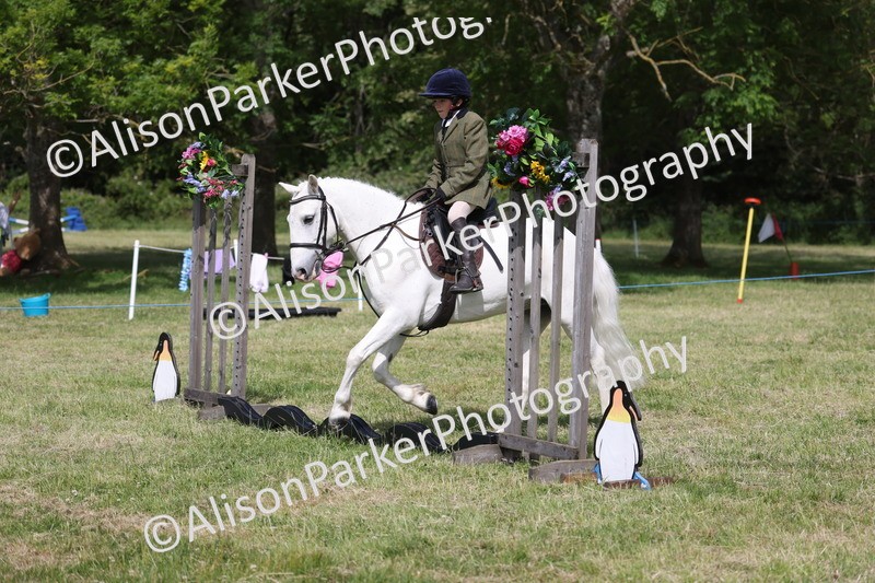 20260614-0652 - Class 20 - Beginners Working Hunter Pony