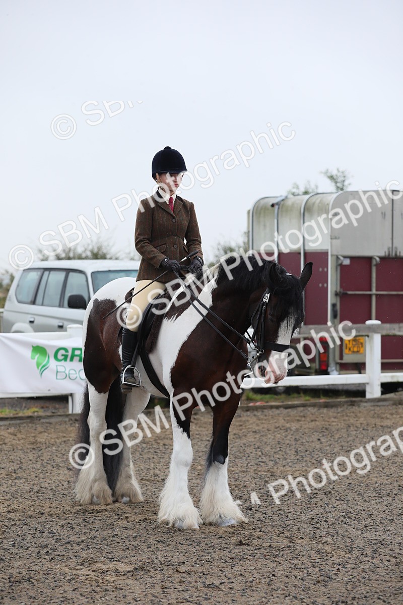 SBM_19950 - Class 801 - Ridden Veteran