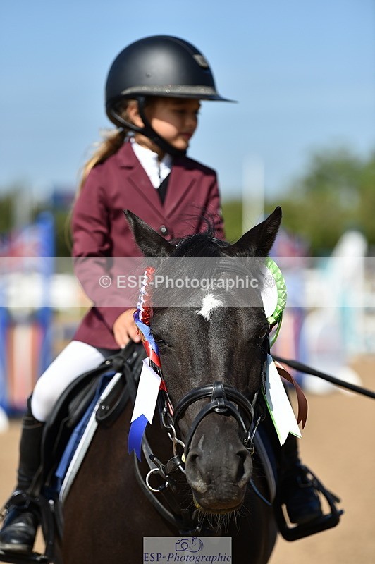 230903A-113656-04233 - Cls 18 Pony Brit Novice & 80cm Open