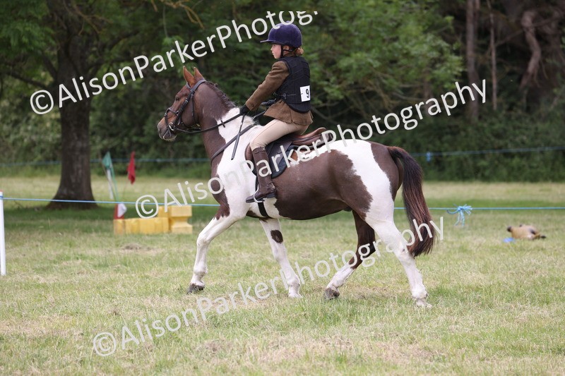 20260614-3061 - Class 22 - Open Working Hunter