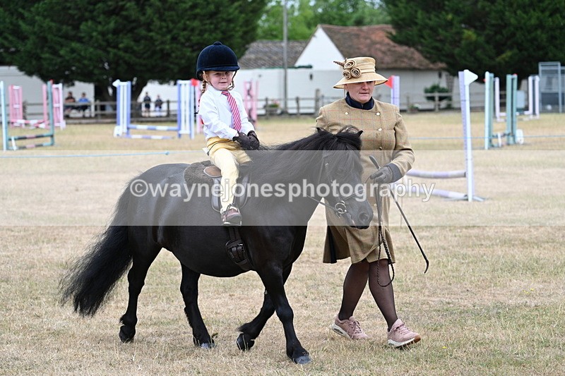 WJ7_8520 - Class 4 Prettiest Mare up to 14.2hh
