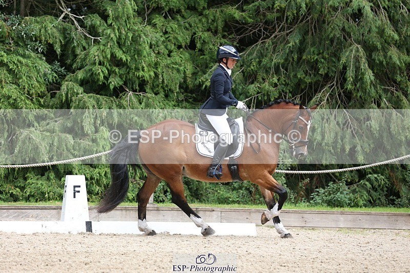 230812-151225-05076 - Cls 5 Novice Bronze 15.00 to End