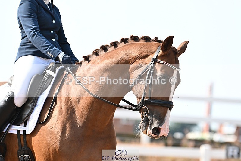 250815-100057-00262 - 026-Pippa.MorganDavinci.Vl