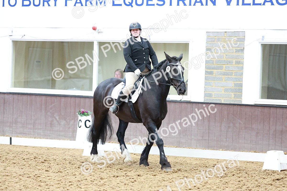SBM_006727 - Class 3 - Prelim 2