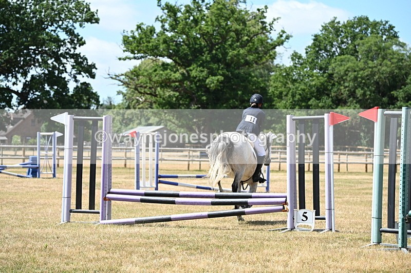 WJ6_5887 - Class 13 Novice 60cm