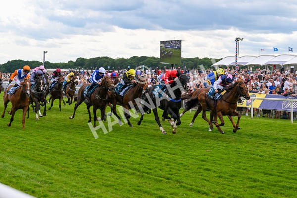 310525-Race 5-Frankies Dream-9861 - Race 5 3.50pm Reg Bond Always And Forever Handicap