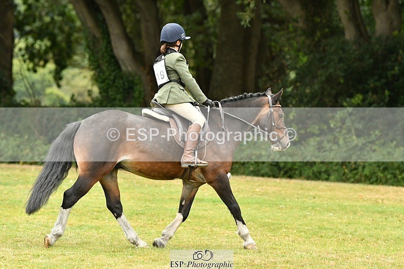 250820A-111405-04954 - 11am to 12