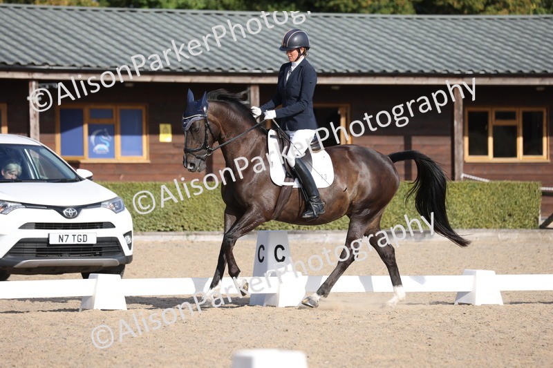 20250820-1732 - Class 22 - Advanced Medium 6