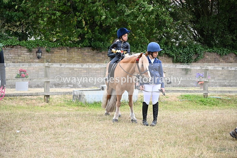 WJ6_9127 - Class 11 Fancy Dress
