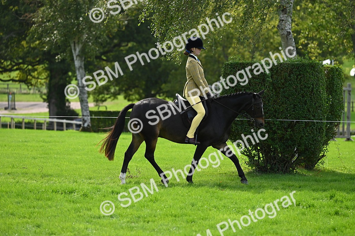 SBM_02610 - S3 - TSR Ridden Pony Showing