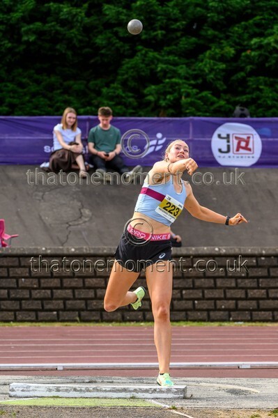 Sen25SUN-929677 - Field Female Set Two