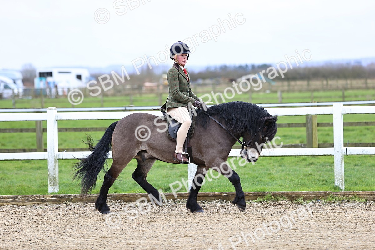 SBM_006775 - Class 29 - 30 - M&M Pure Novice Small-Large Breeds