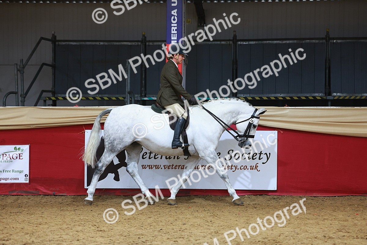 SBM_10514 - Class 103 - HOYS Veteran Qualifier - Ridden Pre Vet