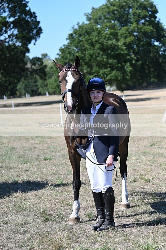 WJ7_1566 - Class 42 Most Handsome Gelding