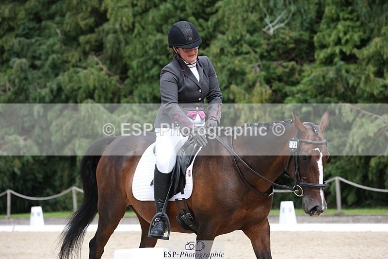 230812-135827-04356 - Cls 5 Novice Bronze 13.40 to 14.45 break