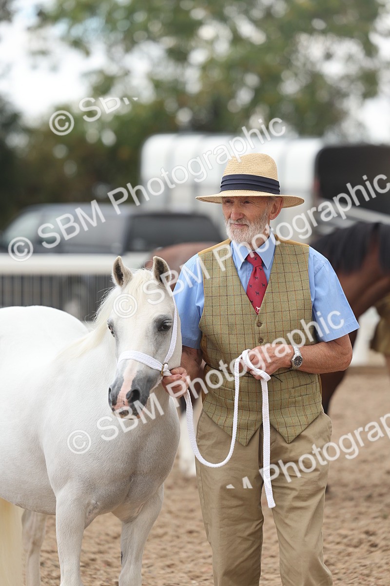 SBM_03231 - Class 16 - IH M&M Wildcard