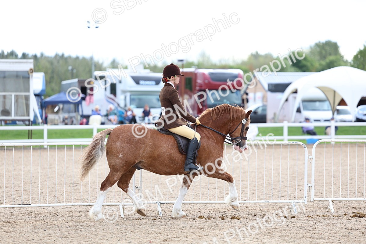 SBM_17486 - Class 316 - Best Pony - Rider Combination