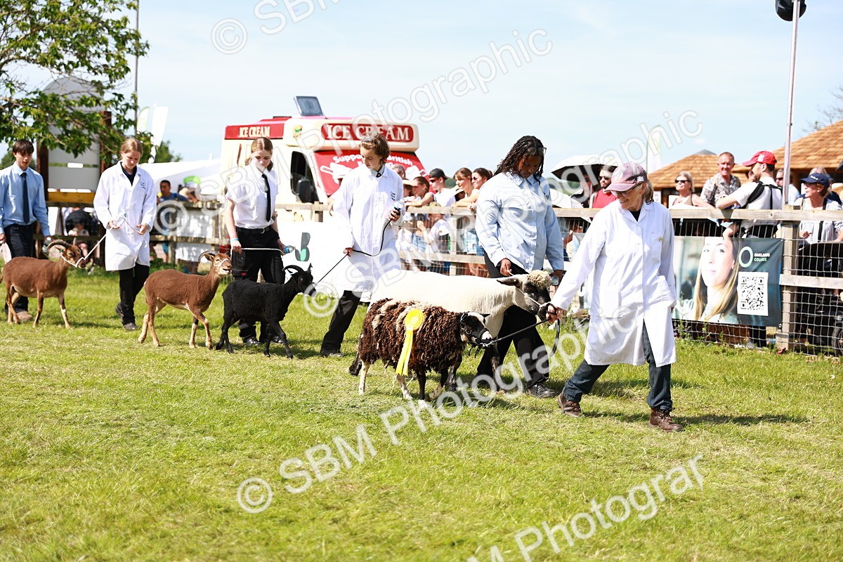 SBM_08305 - Grand Parade